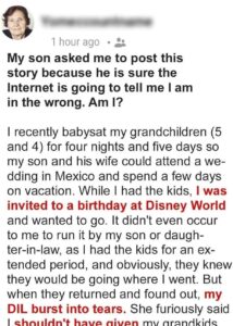 I Took My Grandchildren to Disney World and Now My Dil Is Mad at Me