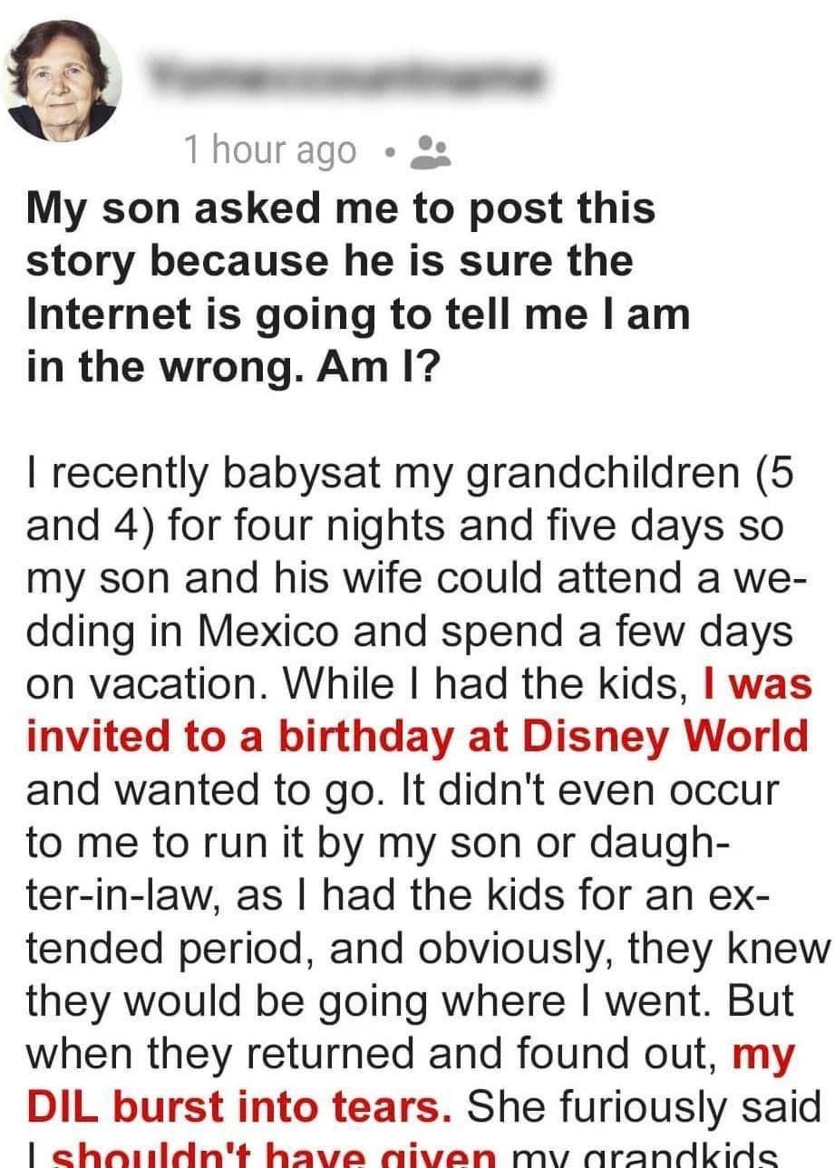 I Took My Grandchildren to Disney World and Now My Dil Is Mad at Me