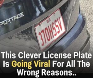 This Clever License Plate Is Making Waves for Surprising Reasons