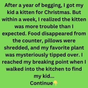When the Kitten Became More Trouble Than I Bargained For