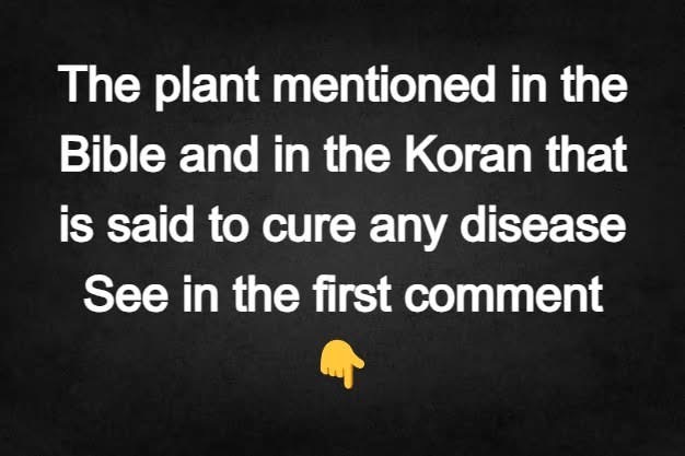 The plant mentioned in the …