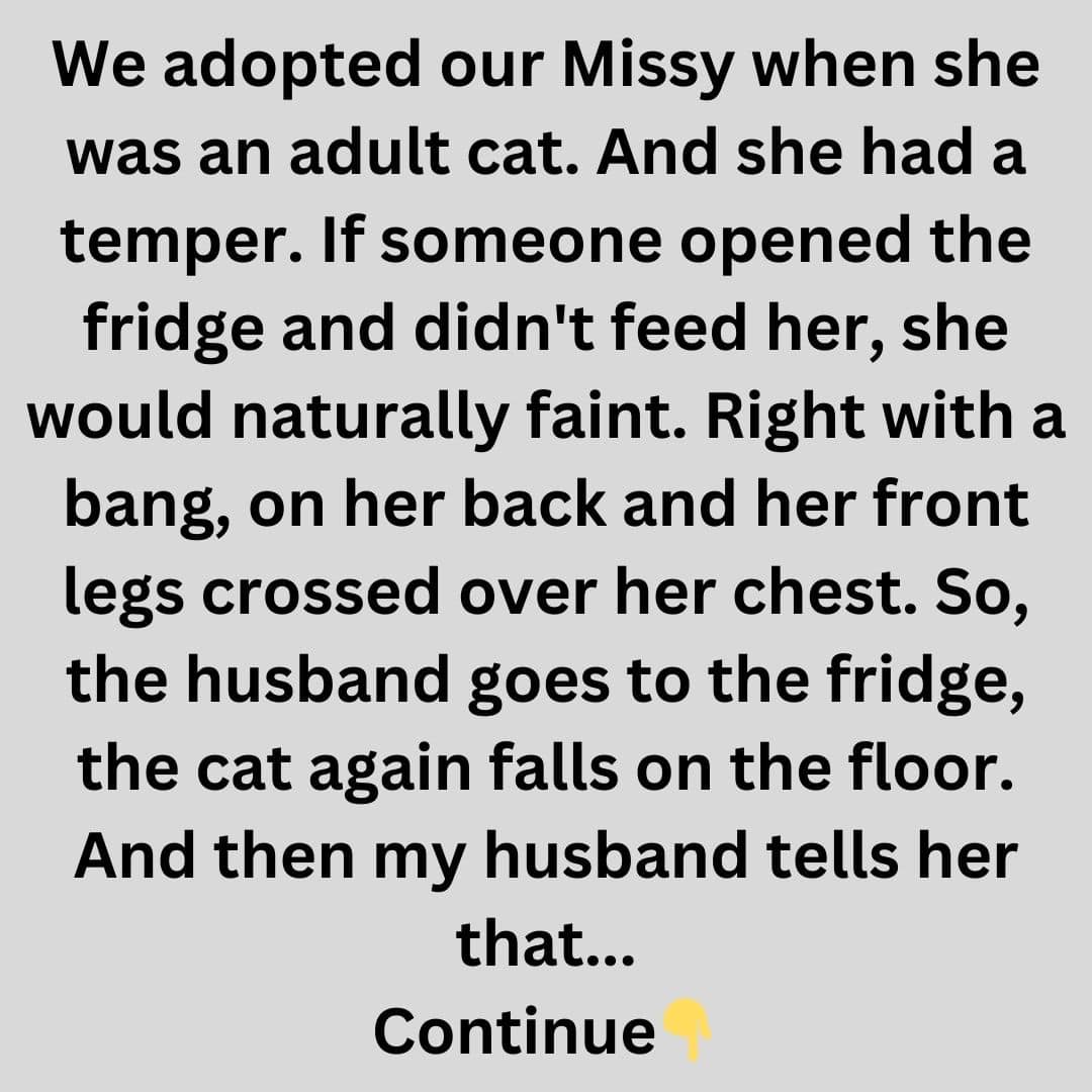 Cat Dramatically ‘Faints’ for Food, Husband Calls Her Out!