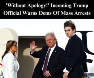 Trump’s Border Czar Promises Mass Arrests ‘Without Apology’ After Taking Office