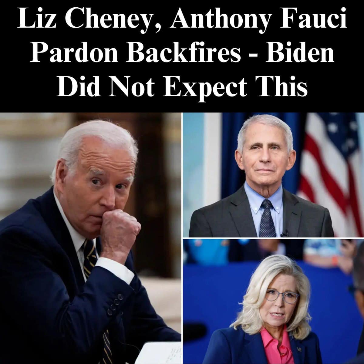 Biden’s Pardons Of Fauci, Cheney, Won’t Cover Lying to Congress: Analysts