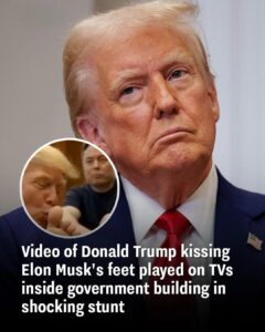 Shocking Stunt: Video of Trump “Kissing” Musk’s Feet Broadcast in HUD Cafeteria