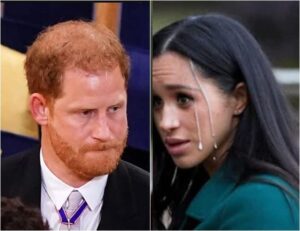 With a heavy heart, Prince Harry has announced from America, “My wife has been diagnosed with an illness