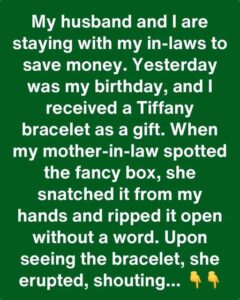 My Mother-in-Law Took My Gift and Wants Me to Leave Her House
