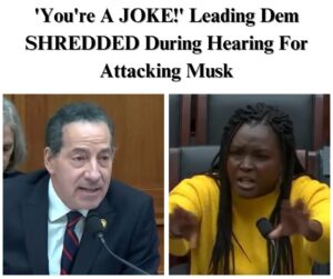 Leading Dem Ripped As ‘Joke’ During Hearing For Attacking Musk