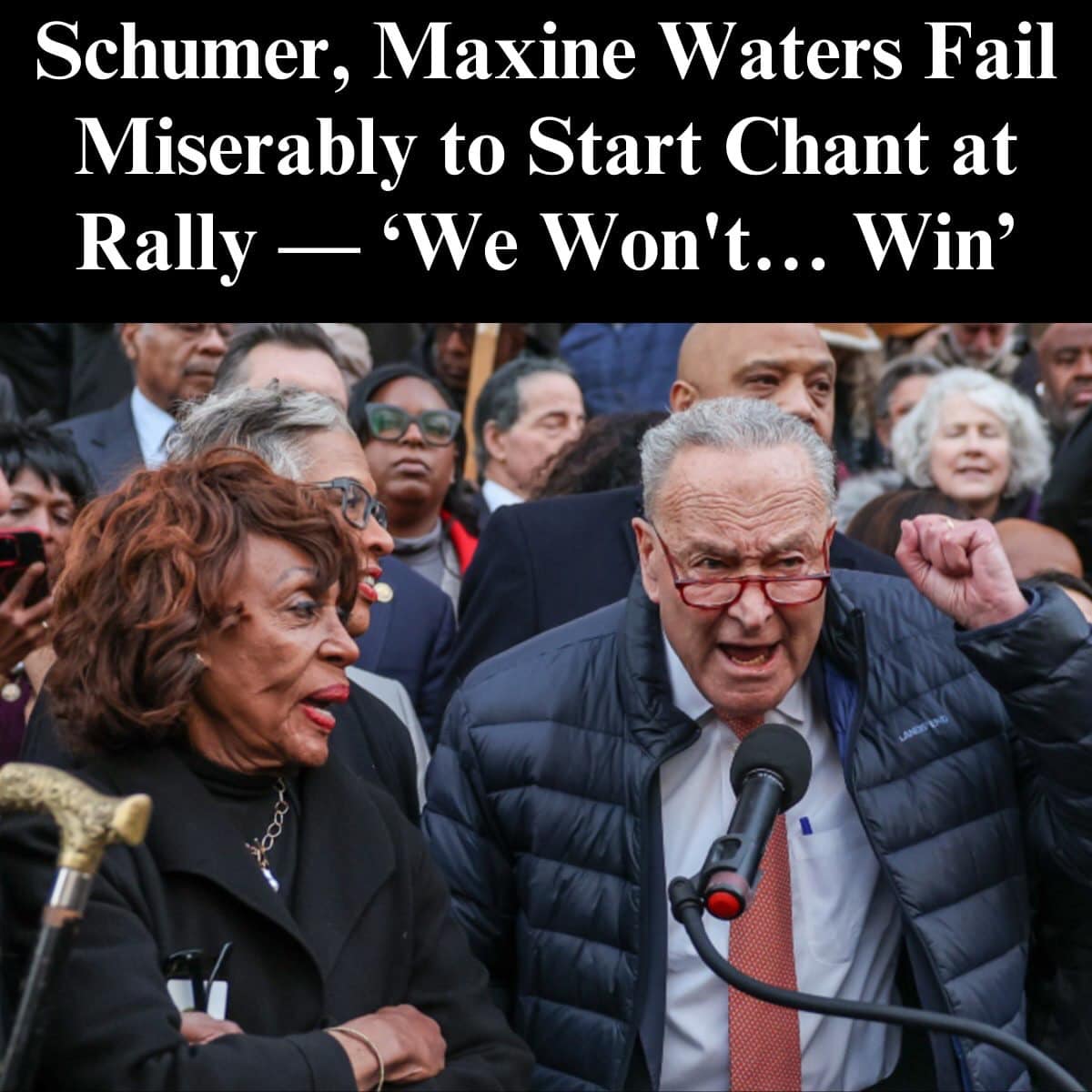 Schumer, Waters Fail To Start Anti-Musk Chant At ‘Rally’