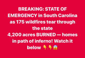 South Carolina Enters State of Emergency as Wildfires Rage Across the State