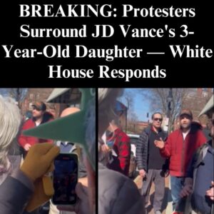 Team Vance Responds After Pro-Ukraine Demonstrators Harass VP, Daughter