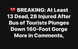 At Least 13 Dead, 28 Injured After Bus of Tourists Plunges Down 160-Foot Gorge