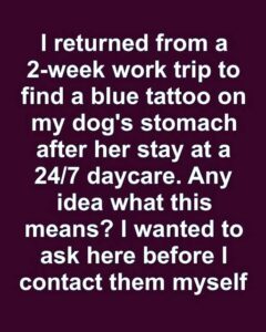 Exploring Pet Tattoos: Popular Trends and Motivations