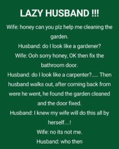 My Husband vs. Chores: A Comedy