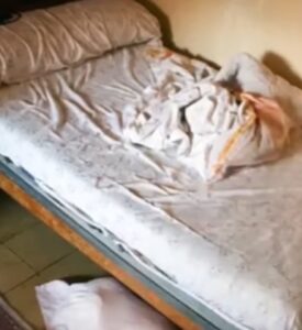 “Granddad Bans Anyone from Touching His Old Mattress, Girl Discovers Hidden Stash After His Passing – Story of the Day”