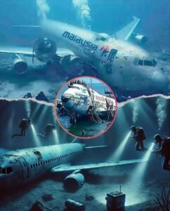 ‘They find missing plane after 40 years with over 92 pa…