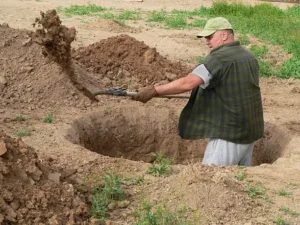 He Was Hiding Something in the Backyard — What I Found Changed Everything