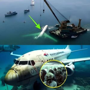 BREAKING NEWS: Lost No More? MH370’s Final Moments Have Been Found