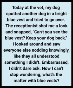 THE DAY MY DOG TAUGHT ME SOMETHING I NEVER LEARNED IN SCHOOL