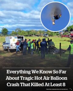 At least eight killed in horrific hot