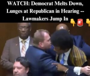 Emotions Run High During Tennessee Legislative Hearing on Gun Violence