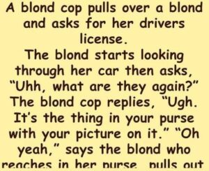 A blond cop pulls over a blond and asks for her drivers license.