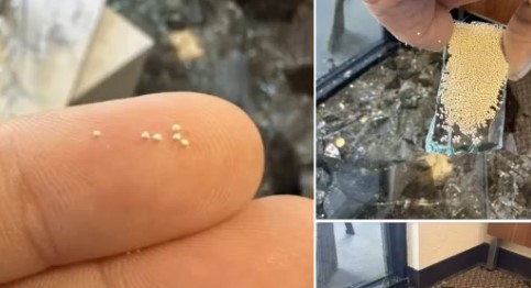 What Are the Small Beads Found in Shattered Glass?