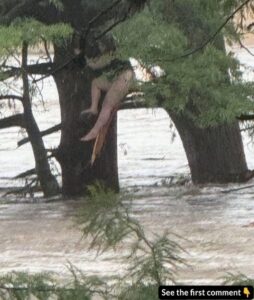 Breaking News: One of the missing camp girls was found 12 miles down river in Texas.