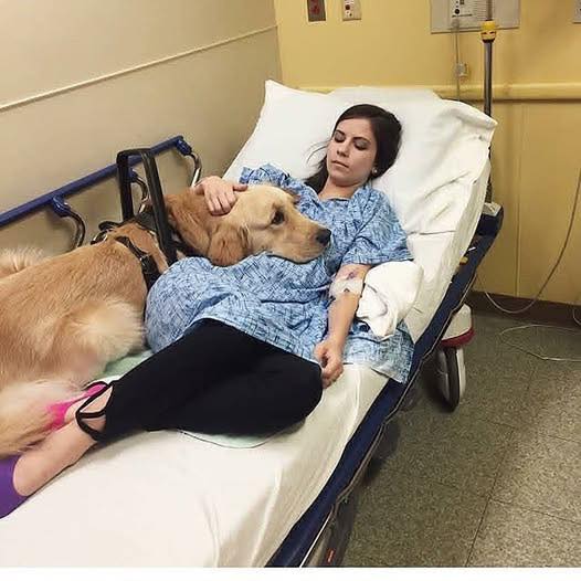 MY DOG NEVER LEFT MY SIDE—BUT THIS TIME, I WOKE UP IN A HOSPITAL BED WITH HIM ALREADY THERE