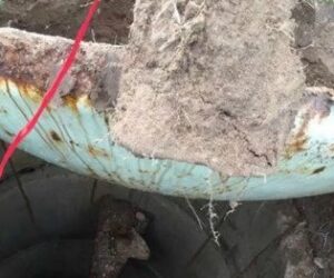 Man Digging In His Backyard Makes Discovery