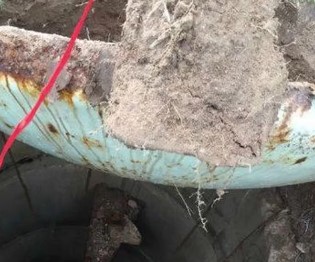 Man Digging In His Backyard Makes Discovery