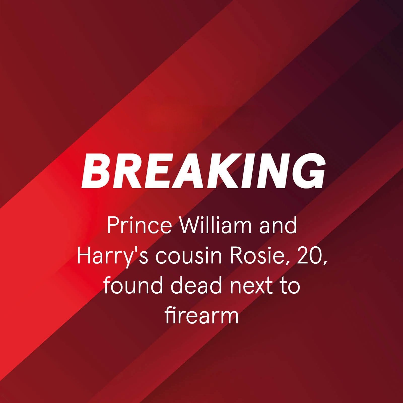 Prince William and Harry’s cousin, 20, found dead next to gun