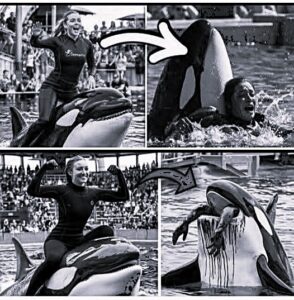 Coach Orca is Destroy by this thing while … see more