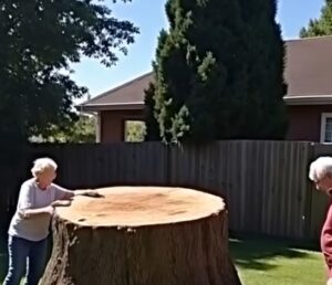Have These Feuding Neighbors Gone Too Far?