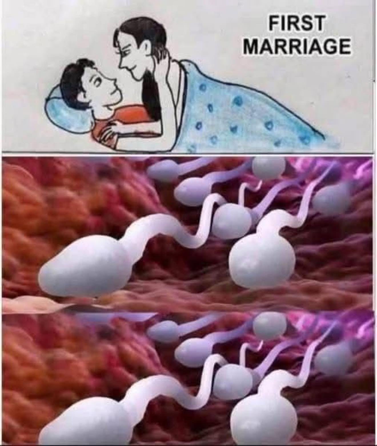 ❤️❤️ Studies reveal that swallowing your partner’s semen… See more