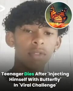 Boy, 14, di:es after injecting himself with butterfly in viral online challenge