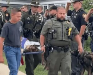 Farewell to a Hero: Honoring K9 Tommy, Ohio’s Courageous Canine Partner570