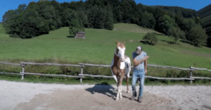 (VIDEO) Man Begins Dancing, but His Horse Takes Center Stage