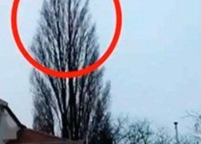 A Simple Video Captures an Unexpectedly Beautiful Moment