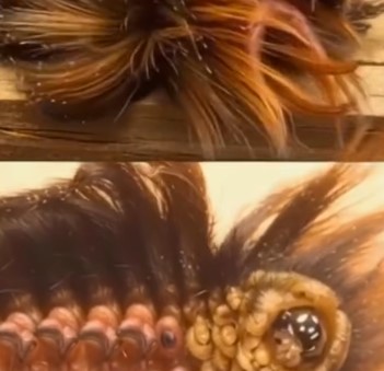 If You Spot This “Cute” Fuzzy Caterpillar in Your Yard, You Need to Know the Danger