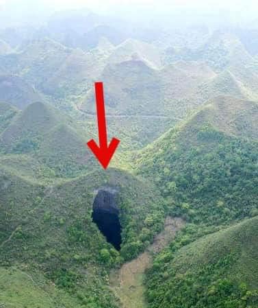 Ancient forest found at bottom of huge sinkhole