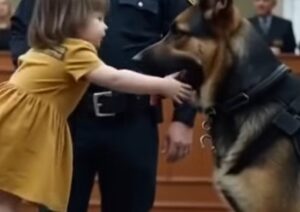 During the Court Hearing, a Child Pointed at the Dog — Moments Later, the Truth Stunned Everyone