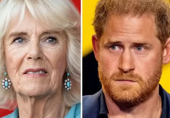 Shocking update about Queen Camilla after Prince Harry’s visit to see his father confirms what we all suspected Check Comments