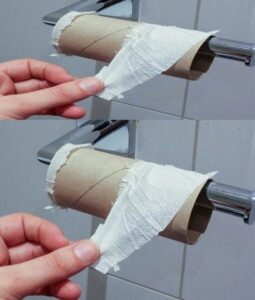 Is toilet paper coming to an end? It may soon take the place of our regular rolls.