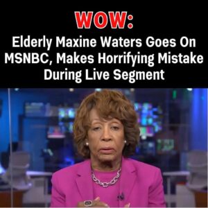 Home . Maxine Waters Sparks Outrage After Major Blunder on Live MSNBC Segment