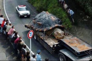 “The entire city buzzed with excitement upon seeing a vehicle transporting a colossal 350-year-old turtle