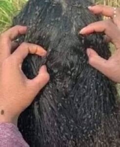 For those who sleep with wet hair, you should know that…