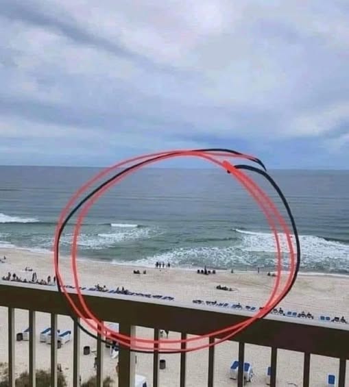 Spot with No Waves at the Beach? Why You Should Stay Away