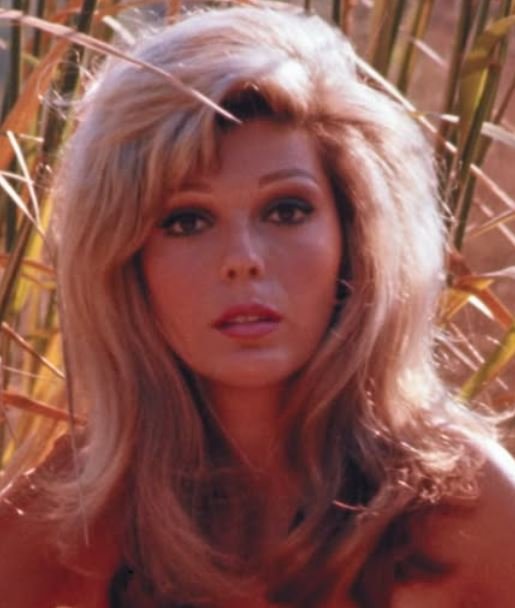 Nancy Sinatra is now 85 – try not to smile when you see her nowyou will be surprised…Photo’s in comments.