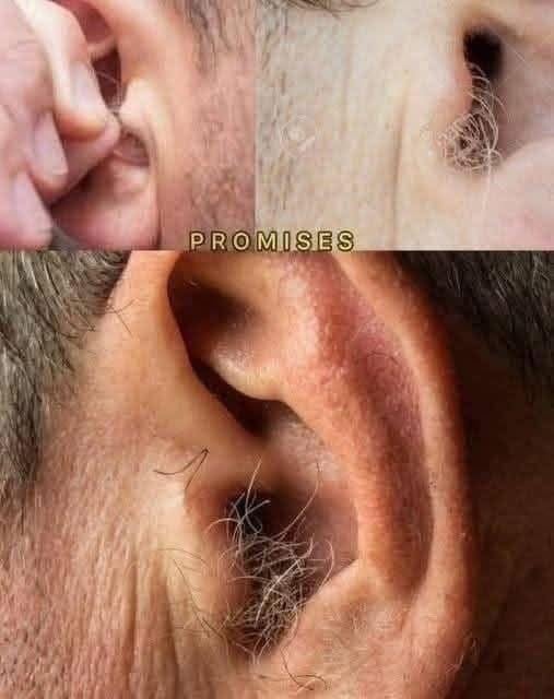 DID YOU KNOW that if hair grows on your ears, its because your body is!